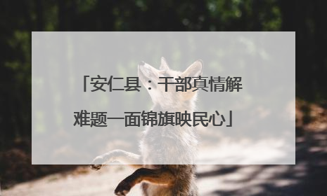 安仁县：干部真情解难题一面锦旗映民心