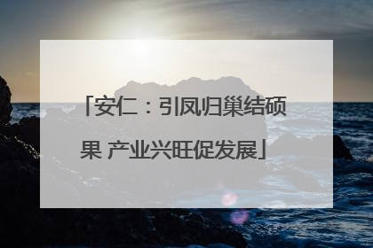 安仁：引凤归巢结硕果 产业兴旺促发展