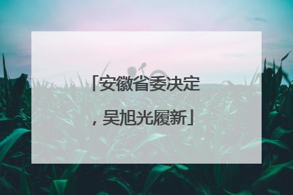 安徽省委决定，吴旭光履新