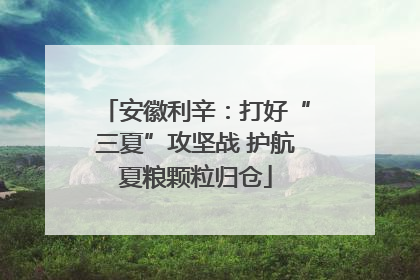 安徽利辛：打好“三夏”攻坚战 护航夏粮颗粒归仓