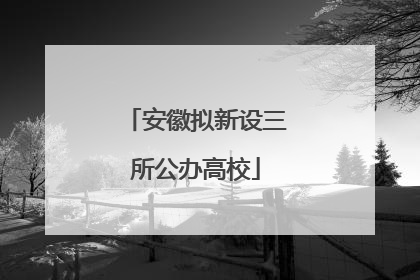 安徽拟新设三所公办高校