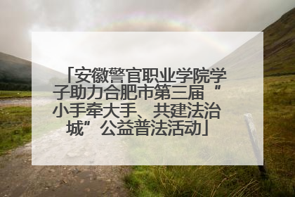 安徽警官职业学院学子助力合肥市第三届“小手牵大手、共建法治城”公益普法活动