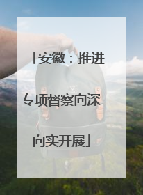 安徽：推进专项督察向深向实开展
