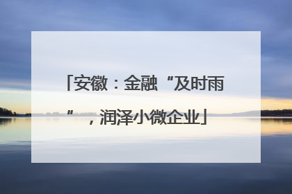 安徽：金融“及时雨”，润泽小微企业