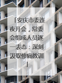 安庆市委连夜开会，常委会组成人员逐一表态：深刻汲取惨痛教训