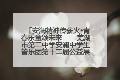 安澜精神传薪火•青春乐章颂未来——芜湖市第二中学安澜中学生管乐团第十二届公益展演圆满举行