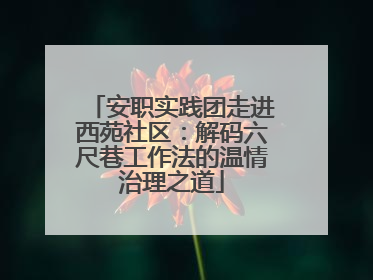 安职实践团走进西苑社区：解码六尺巷工作法的温情治理之道