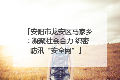 安阳市龙安区马家乡：凝聚社会合力 织密防汛“安全网”