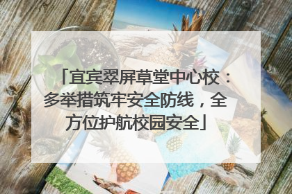 宜宾翠屏草堂中心校：多举措筑牢安全防线，全方位护航校园安全