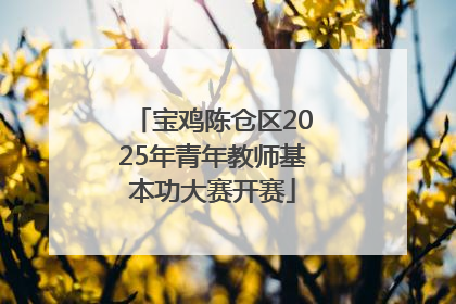 宝鸡陈仓区2025年青年教师基本功大赛开赛