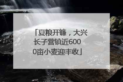 夏粮开镰，大兴长子营镇近6000亩小麦迎丰收