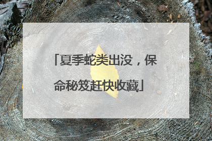 夏季蛇类出没，保命秘笈赶快收藏