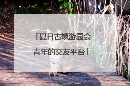 夏日古镇游园会 青年的交友平台