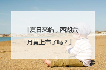 夏日来临，西湖六月黄上市了吗？
