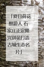 夏日荷花醉游人 石家庄正定隆兴别苑打造古城生态名片