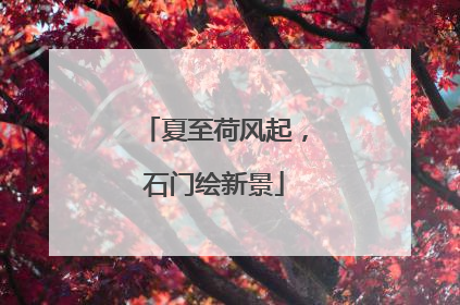 夏至荷风起，石门绘新景