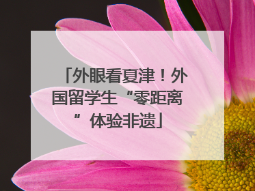 外眼看夏津！外国留学生“零距离”体验非遗
