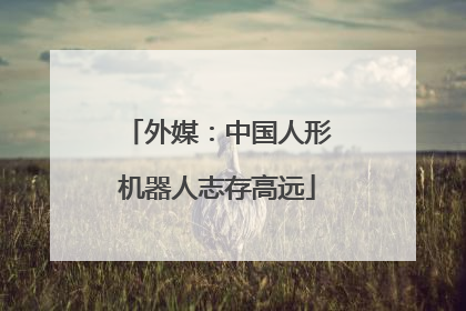 外媒：中国人形机器人志存高远