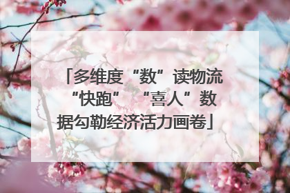 多维度“数”读物流“快跑” “喜人”数据勾勒经济活力画卷