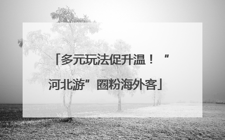 多元玩法促升温！“河北游”圈粉海外客