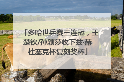 多哈世乒赛三连冠，王楚钦/孙颖莎收下兹·赫杜塞克杯复刻奖杯