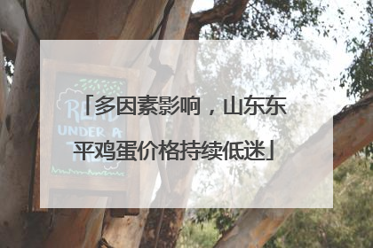 多因素影响，山东东平鸡蛋价格持续低迷