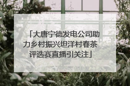 大唐宁德发电公司助力乡村振兴坦洋村春茶评选赛直播引关注