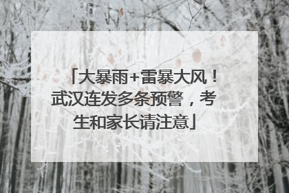 大暴雨+雷暴大风！武汉连发多条预警，考生和家长请注意