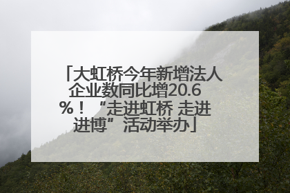 大虹桥今年新增法人企业数同比增20.6%！“走进虹桥 走进进博”活动举办
