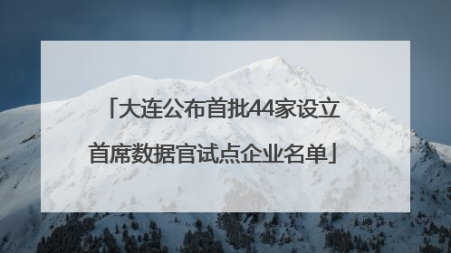 大连公布首批44家设立首席数据官试点企业名单