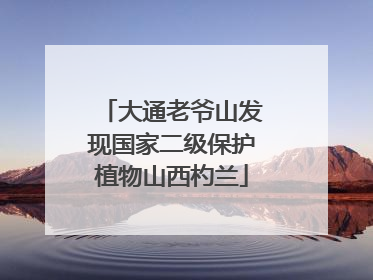 大通老爷山发现国家二级保护植物山西杓兰