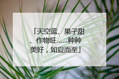 天空蓝、果子甜、作物旺……种种美好，如夏而至