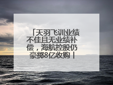 天羽飞训业绩不佳且无业绩补偿，海航控股仍豪掷8亿收购丨一周市场观察