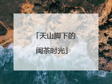 天山脚下的闽茶时光