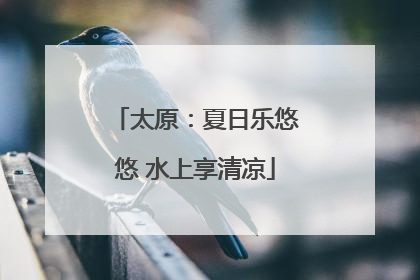太原：夏日乐悠悠 水上享清凉