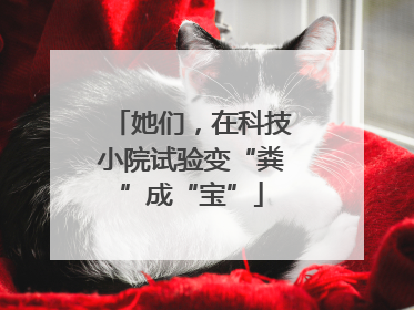 她们，在科技小院试验变“粪”成“宝”