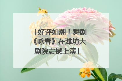 好评如潮！舞剧《咏春》在潍坊大剧院震撼上演