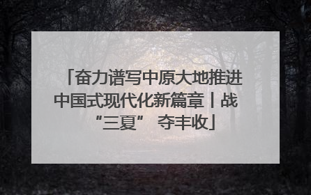奋力谱写中原大地推进中国式现代化新篇章丨战“三夏” 夺丰收