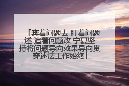 奔着问题去 盯着问题述 追着问题改 宁夏坚持将问题导向效果导向贯穿述法工作始终