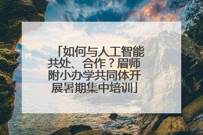 如何与人工智能共处、合作？眉师附小办学共同体开展暑期集中培训