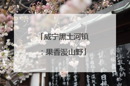 威宁黑土河镇：果香漫山野