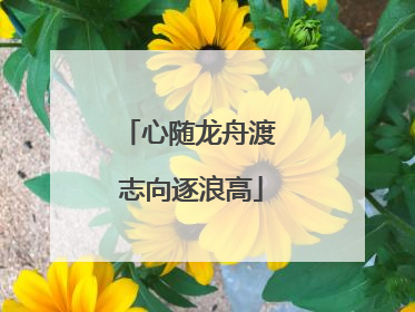 心随龙舟渡 志向逐浪高