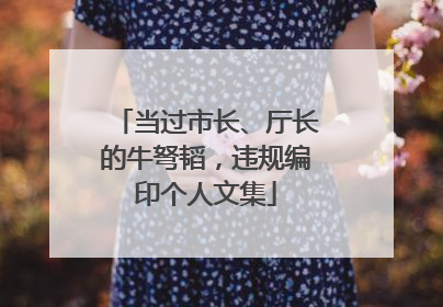 当过市长、厅长的牛弩韬，违规编印个人文集