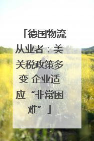 德国物流从业者：美关税政策多变 企业适应“非常困难”