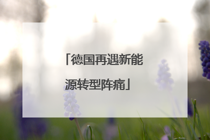 德国再遇新能源转型阵痛