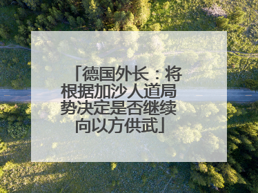 德国外长：将根据加沙人道局势决定是否继续向以方供武