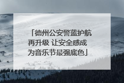 德州公安警蓝护航再升级 让安全感成为音乐节最强底色
