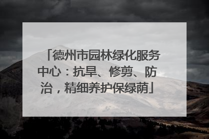 德州市园林绿化服务中心：抗旱、修剪、防治，精细养护保绿荫