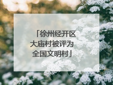 徐州经开区大庙村被评为全国文明村