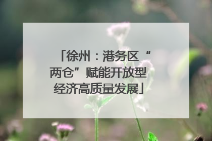 徐州：港务区“两仓”赋能开放型经济高质量发展